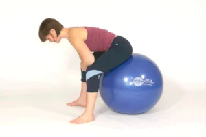 Seated Back Stretch