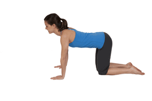 Upper Back Curl