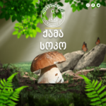 ქამა სოკო დედამიწაზე ყველაზე ფართოდ გავრცელებული სოკოა